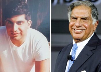 DIN No. 1 Mr. Ratan Tata | What is DIN (Director Identification number)?