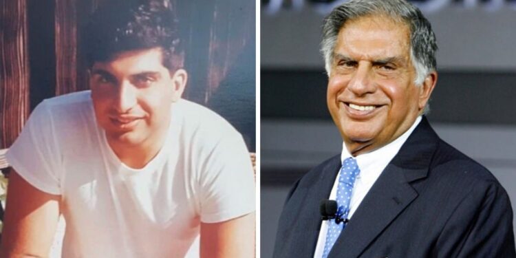 DIN No. 1 Mr. Ratan Tata | What is DIN (Director Identification number)?