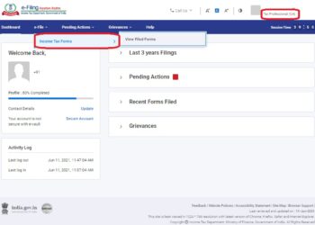 CA Professionals not getting an option to file any form on the new e-filing website | E-filing 2.0